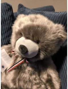 Ours en peluche Mailou couleur taupe 50 cm - 