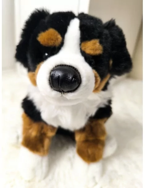 Bouvier bernois, assis - 25 cm - 