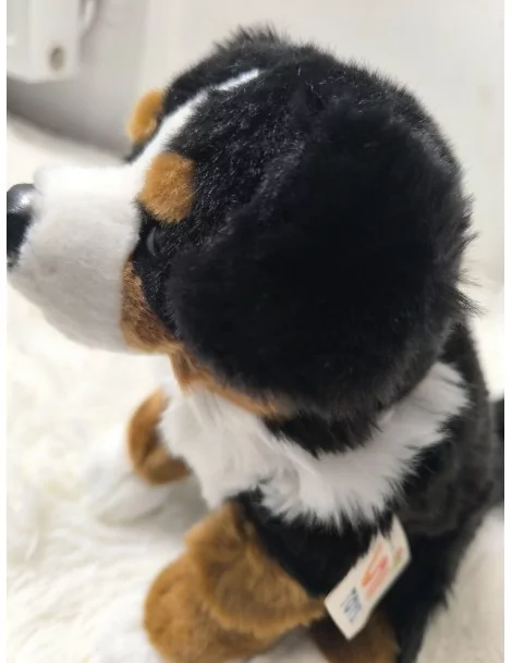 Bouvier bernois, assis - 25 cm - 