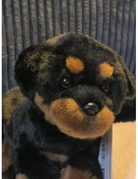 Rottweiler, couché - 30 cm - 