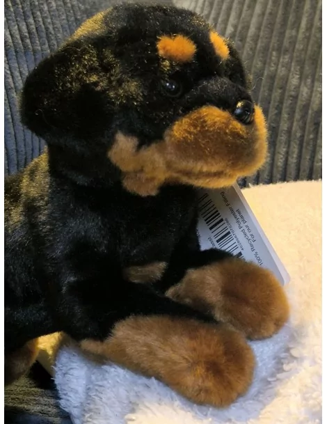 Rottweiler, couché - 30 cm - 