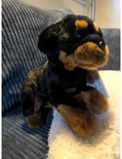 Rottweiler, couché - 30 cm - 