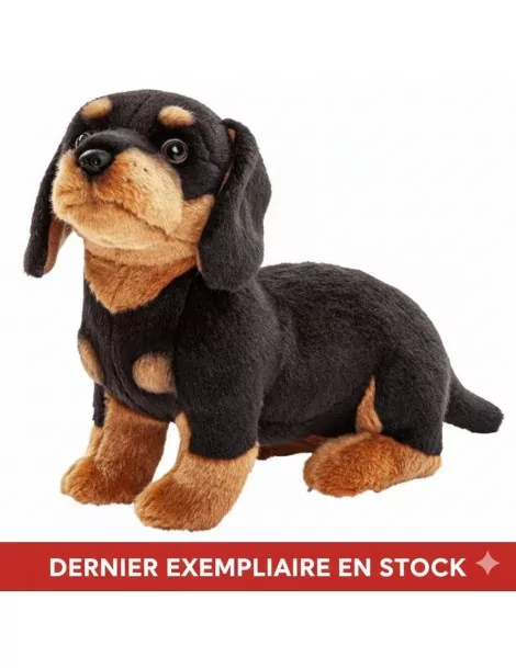 Peluche Chien teckel 27 CM Unitoys Ecofriendly -