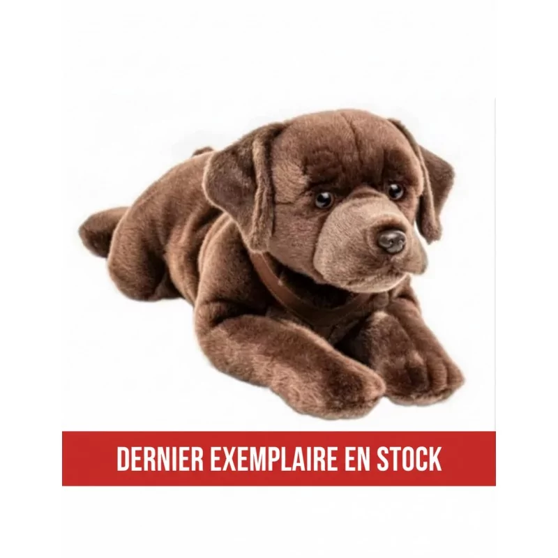 Peluche Labrador couché marron 60 cm - 