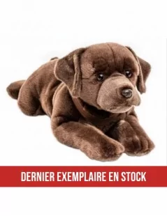 Peluche Labrador couché marron 60 cm - 